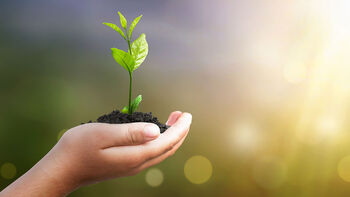 Création d’entreprise